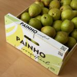 Refrescar com Propósito: novo packaging, a mesma essência da CFP