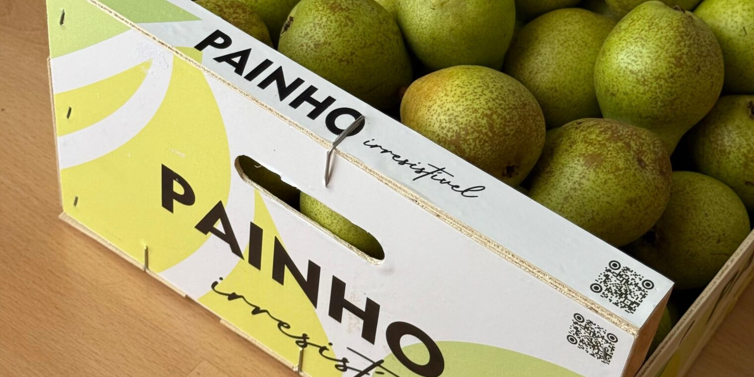Refrescar com Propósito: novo packaging, a mesma essência da CFP