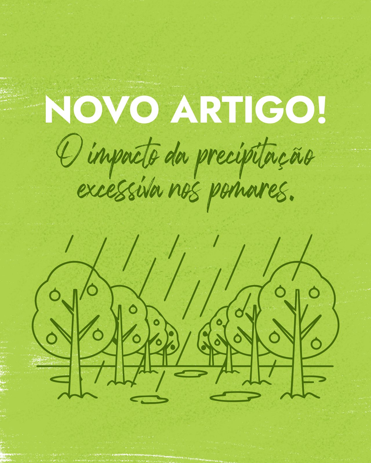 O Impacto da Precipitação Excessiva nos Pomares: Desafios e Estratégias