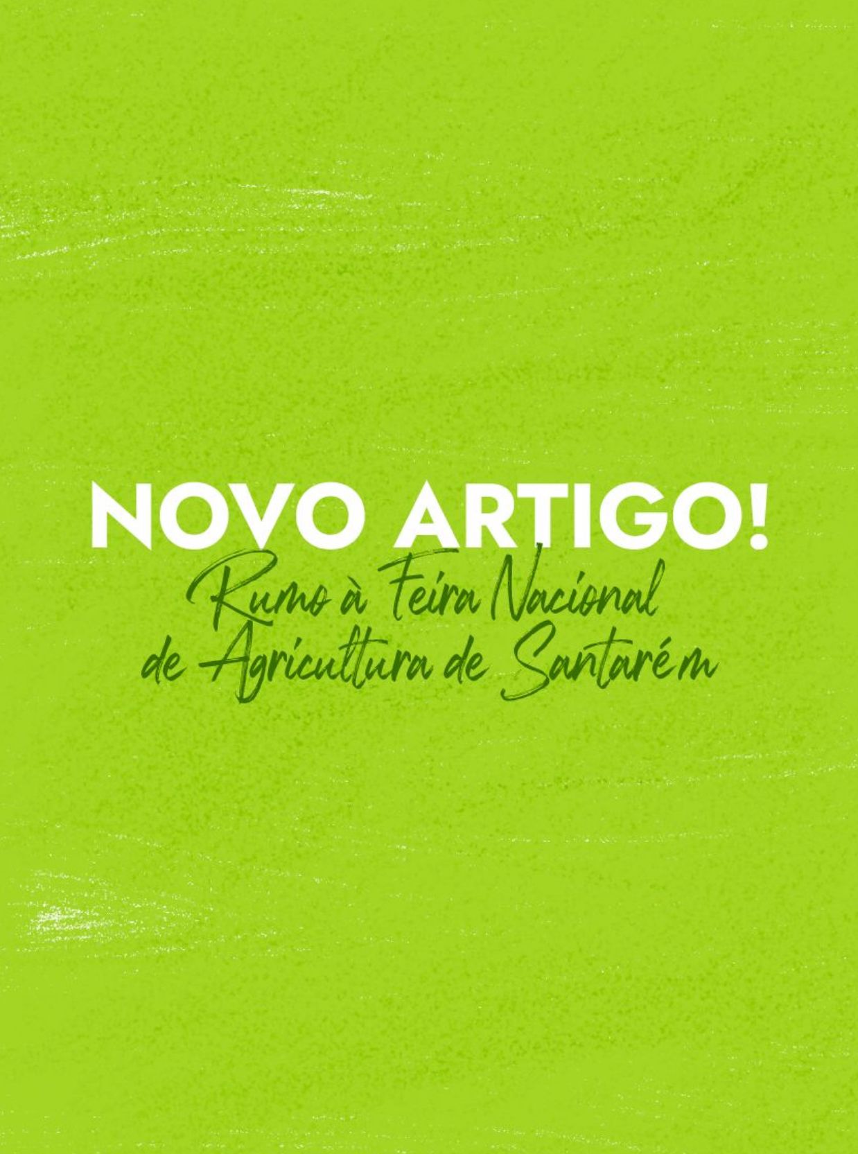 Central de Frutas do Painho marca presença pela primeira vez na Feira Nacional de Agricultura de Santarém