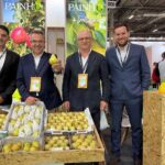Fruit Attraction Madrid 2026: onde a fruta se encontra com o mundo